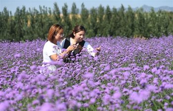 Hebei's Neiqiu County Plants Tr